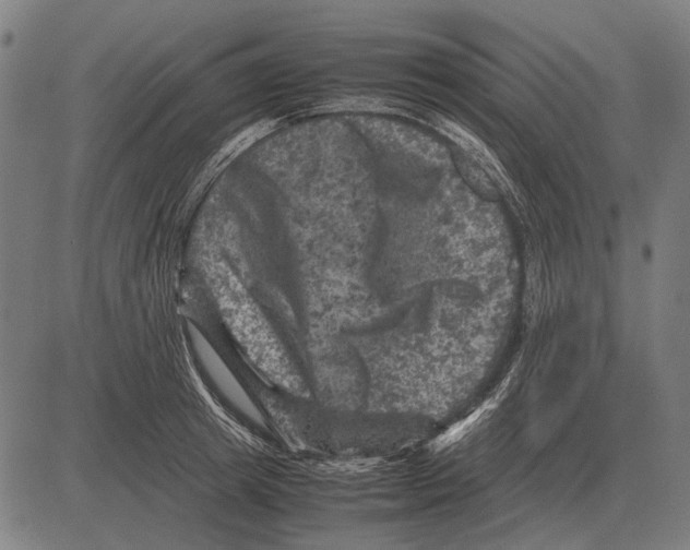 X0000081470849200702021830