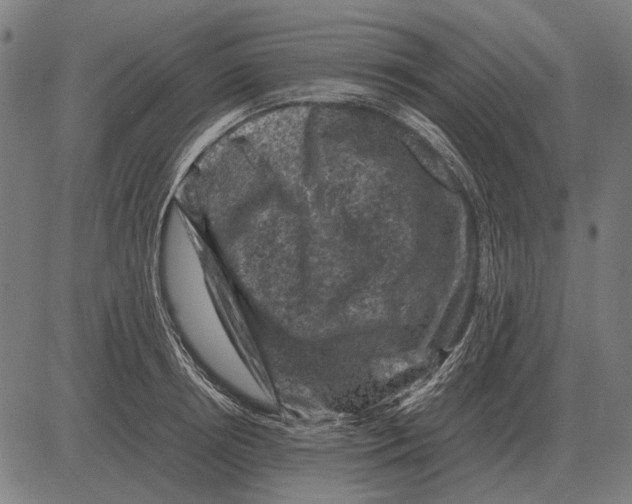 X0000081470850200702021830