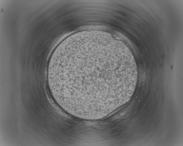 X0000081470852200702021830