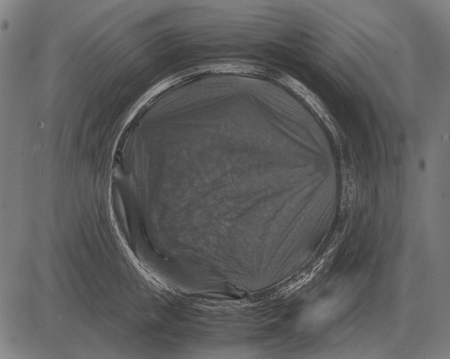 X0000081470853200702021830