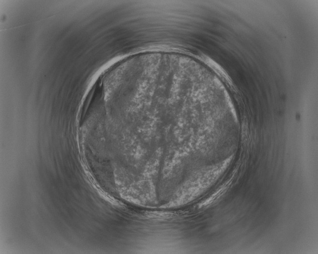 X0000081470854200702021830