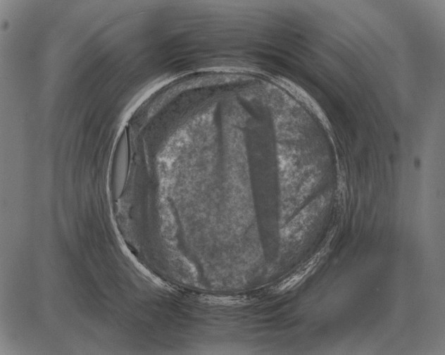 X0000081470855200702021830