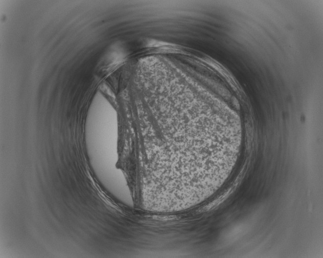 X0000081470857200702021830