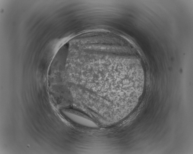 X0000081470858200702021830