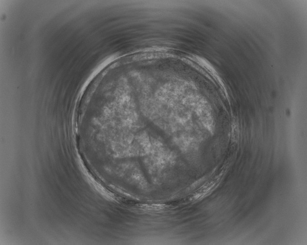 X0000081470859200702021830