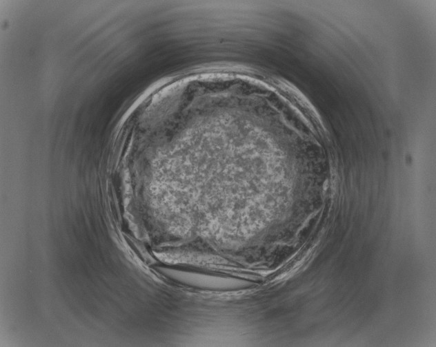 X0000081470860200702021831