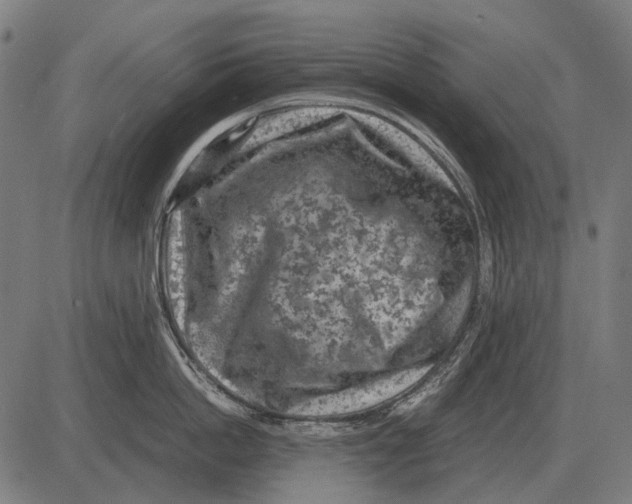 X0000081470862200702021831