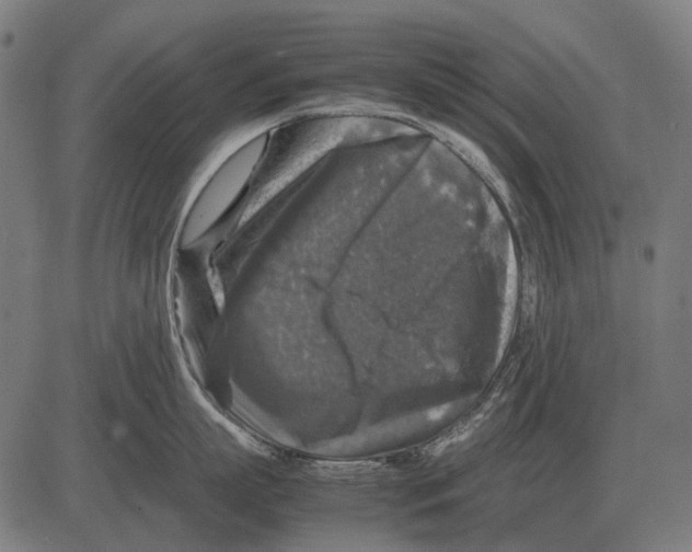 X0000081470863200702021831