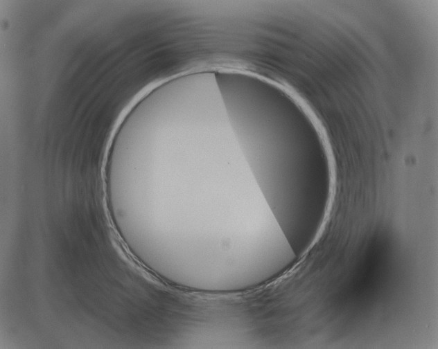 X0000081470864200702021831