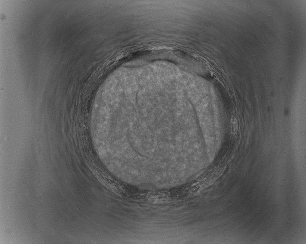 X0000081470865200702021830