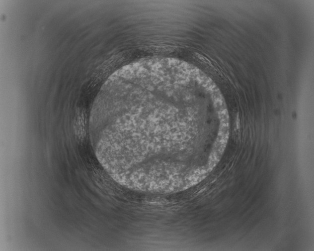 X0000081470866200702021830