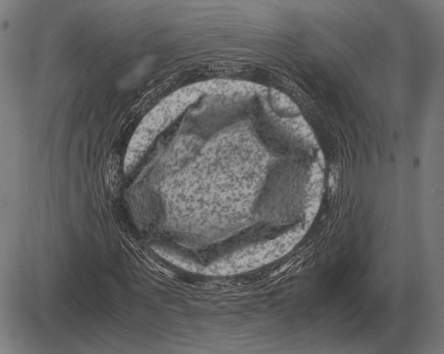 X0000081470867200702021830