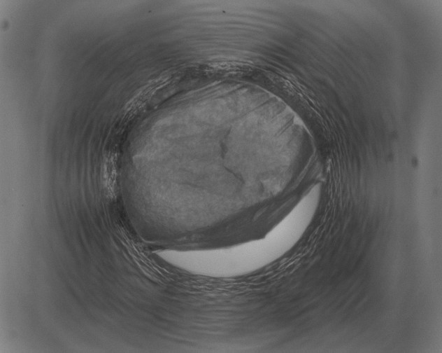 X0000081470868200702021830