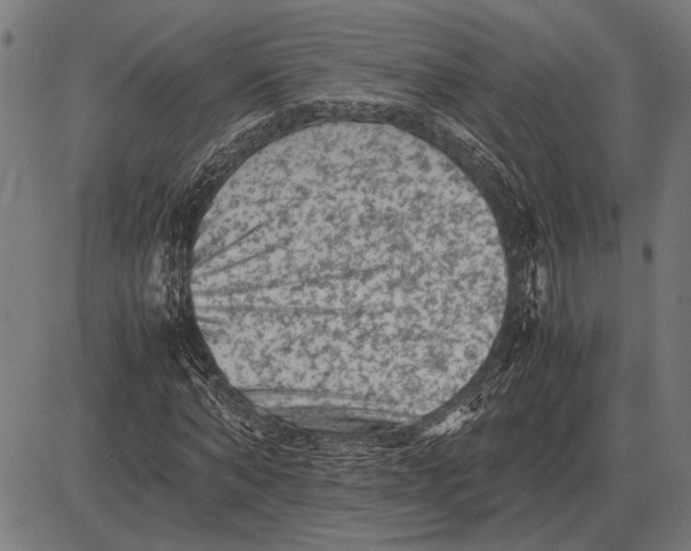 X0000081470870200702021830