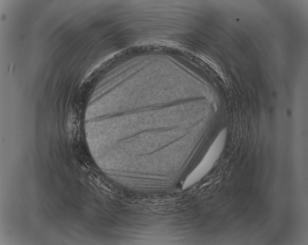 X0000081470872200702021830