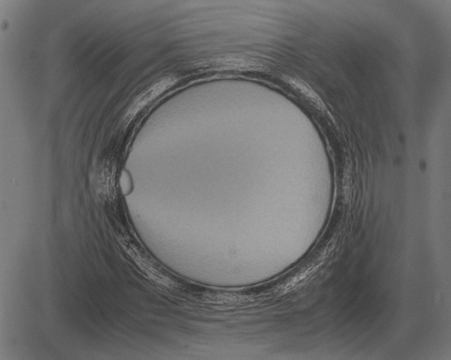 X0000081470873200702021830