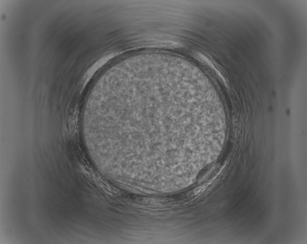 X0000081470875200702021830