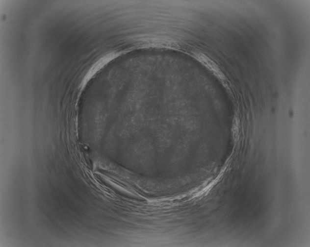 X0000081470877200702021830