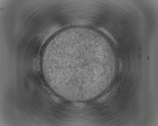 X0000081470878200702021830