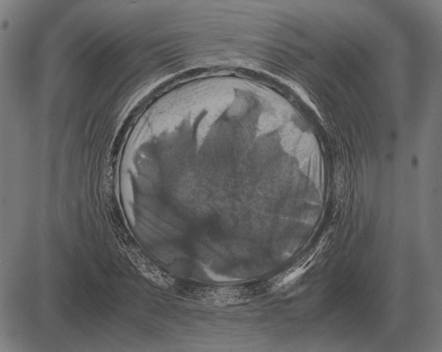 X0000081470879200702021830