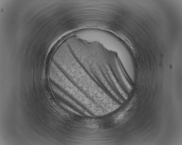 X0000081470880200702021830