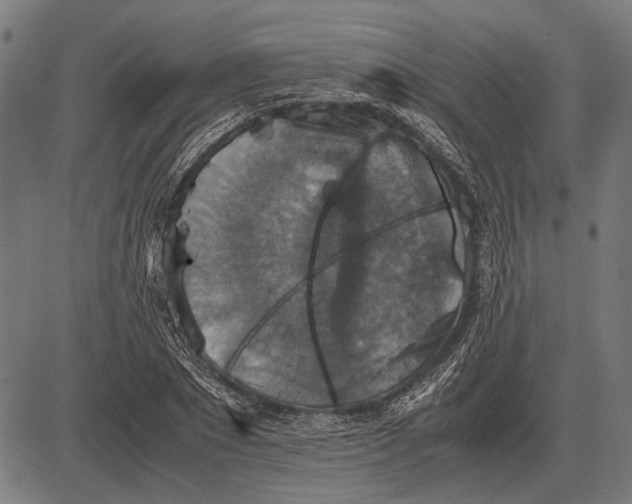 X0000081470881200702021830