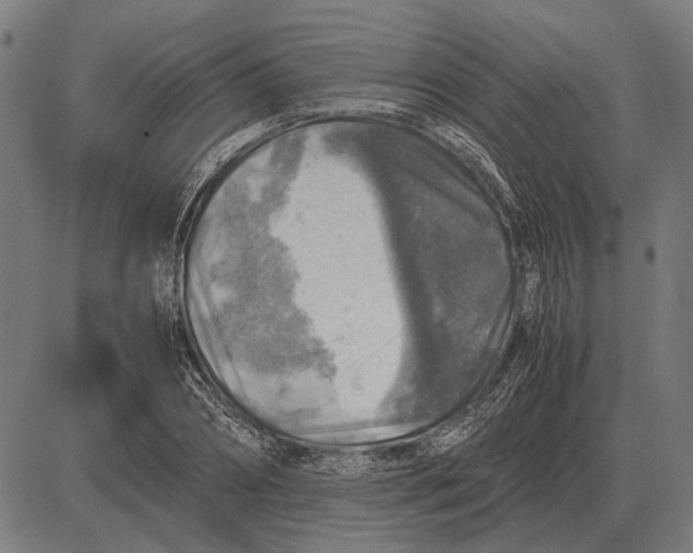 X0000081470882200702021830