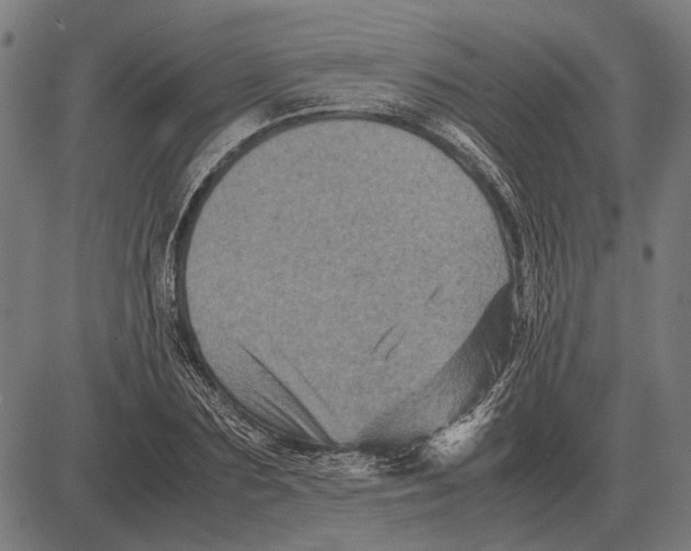 X0000081470883200702021830