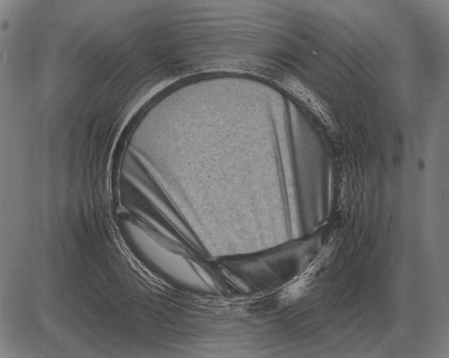 X0000081470884200702021829