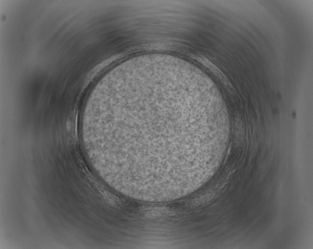 X0000081470886200702021829