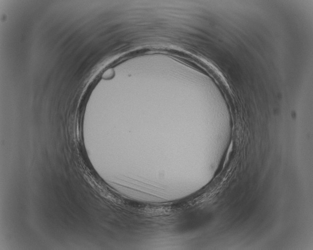 X0000081470887200702021829