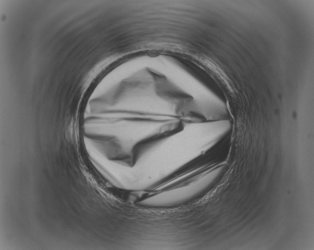 X0000081470888200702021829