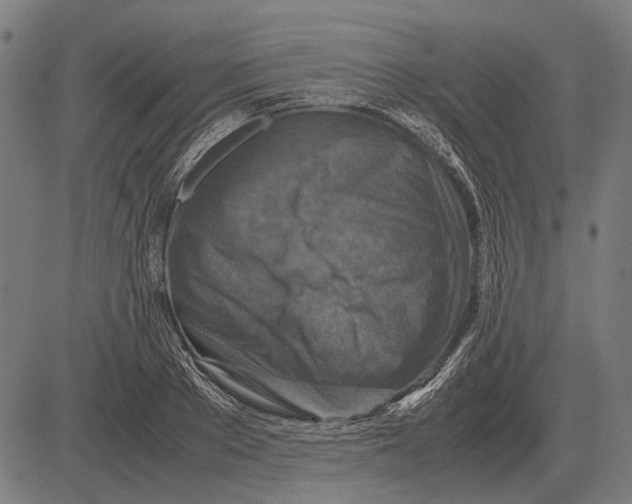 X0000081470889200702021829