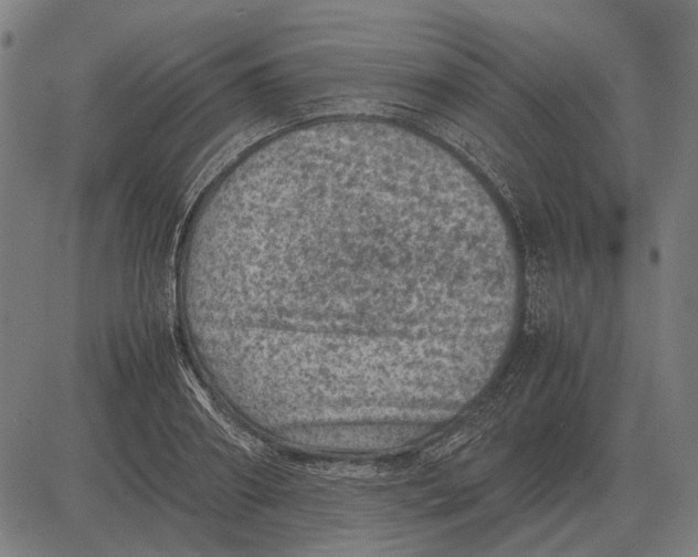 X0000081470890200702021829