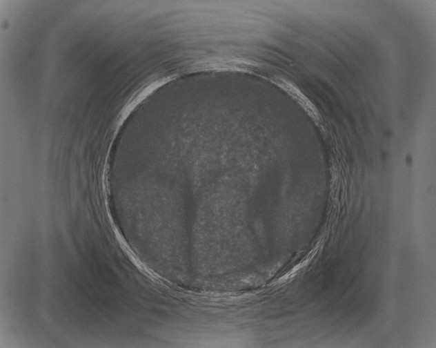 X0000081470893200702021829