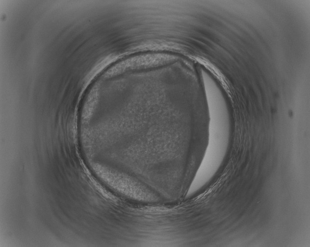 X0000081470894200702021829