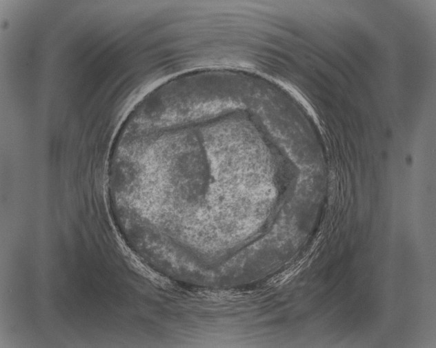 X0000081470895200702021829