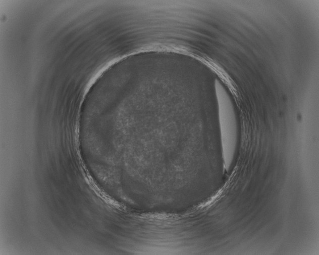 X0000081470896200702021829