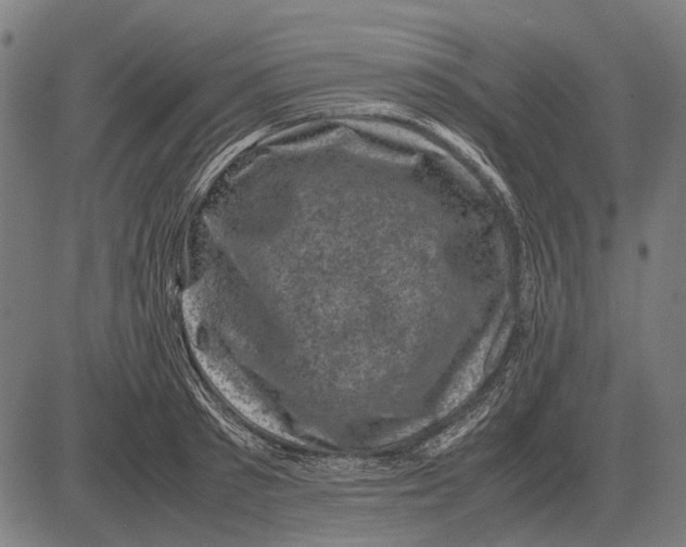 X0000081470897200702021829