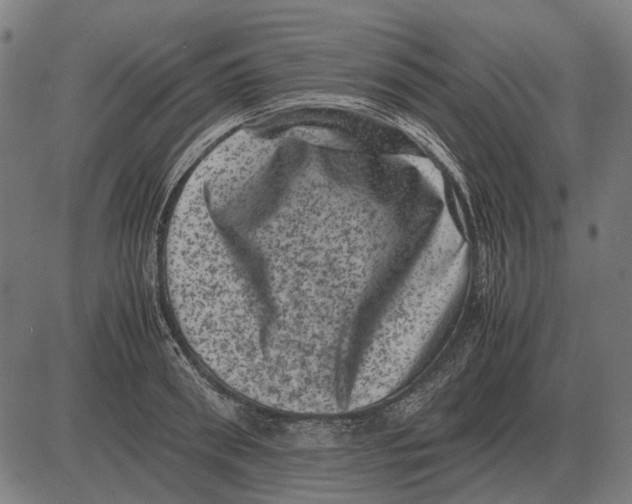 X0000081470898200702021829