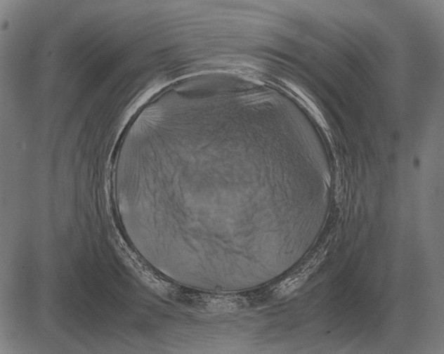 X0000081470899200702021829