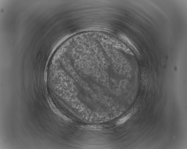 X0000081470900200702021829