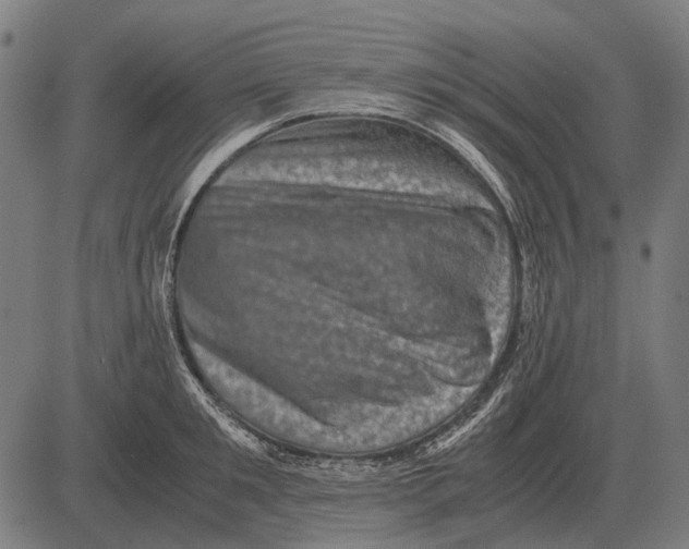 X0000081470901200702021829