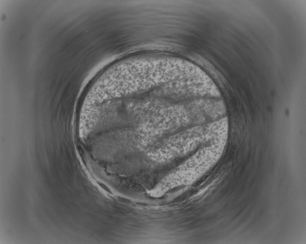 X0000081470902200702021829