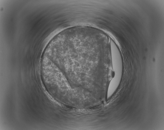 X0000081470903200702021829