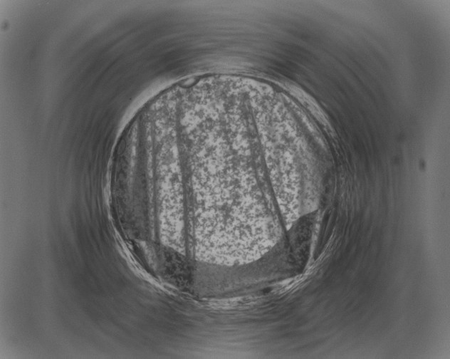 X0000081470904200702021829