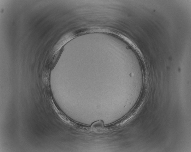 X0000081470905200702021829