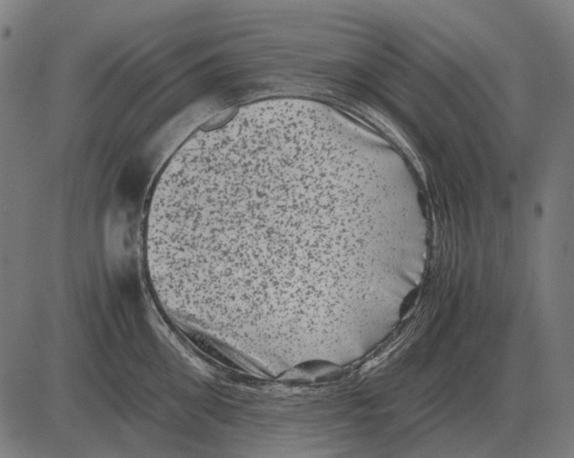 X0000081470906200702021829