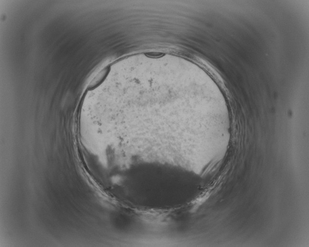 X0000081470907200702021829