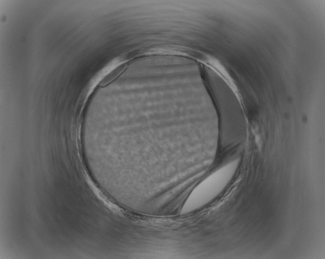 X0000081470909200702021829